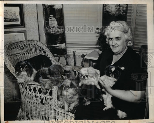 1944 Press Photo Mrs Marguerite Shaw of Long Beach Calif & her Peke dogs-Historic Images