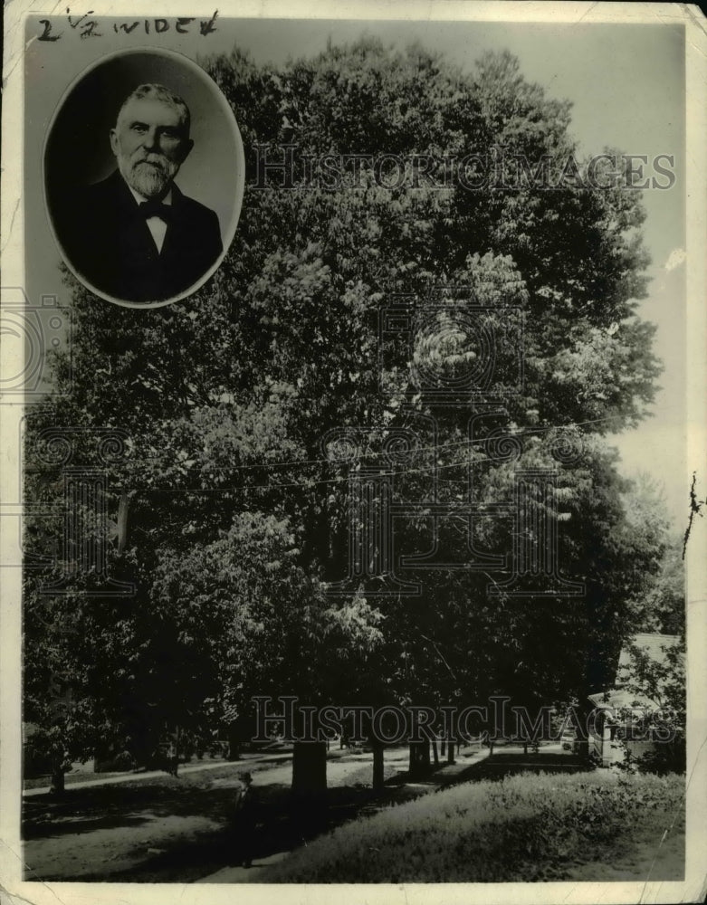 1920 Press Photo John Finn and tree he planted in honor of  Abe Lincoln - Historic Images