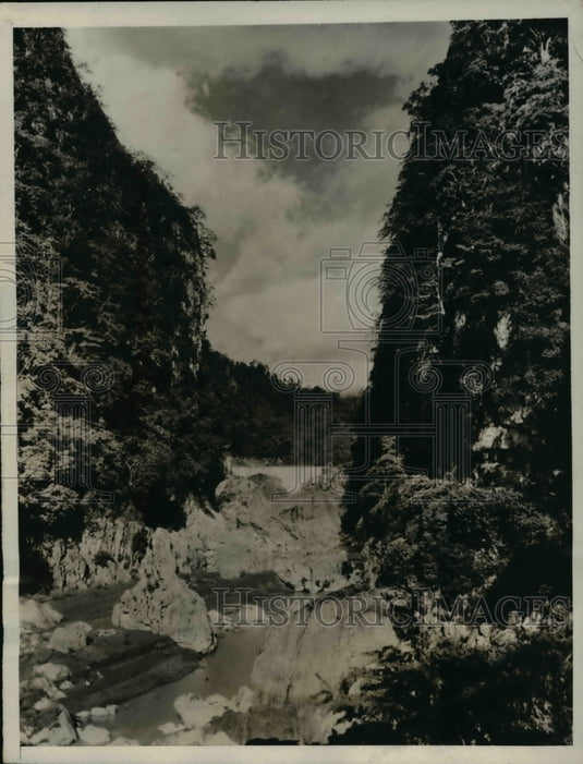1932 Press Photo Forest Primeval, The Grandeur of Montalben near Manila - Historic Images