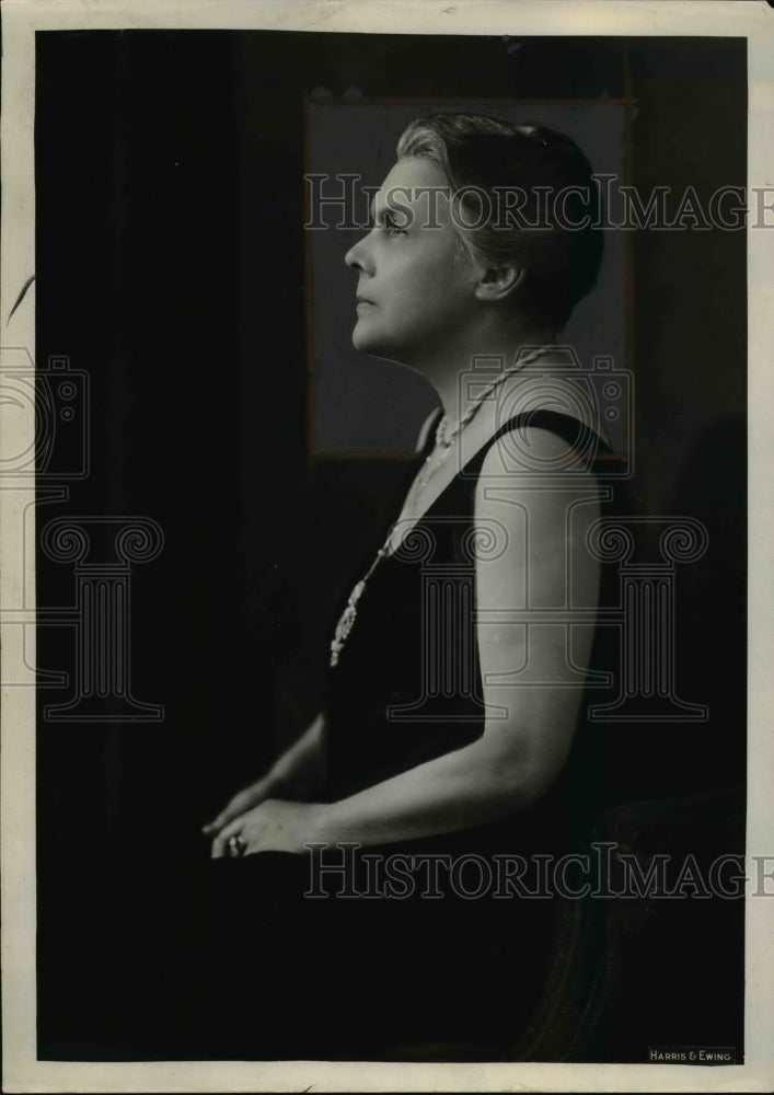 1933 Press Photo Mrs Charles S Hamilton-Historic Images