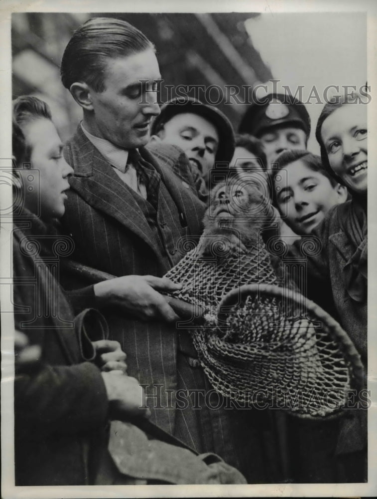 1939 Press Photo Regents Park zoo London Barbary Ape Joan - Historic Images