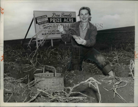 1957 Press Photo Mrs. Dee Sweet Harvest in Limestone Maine - Historic Images