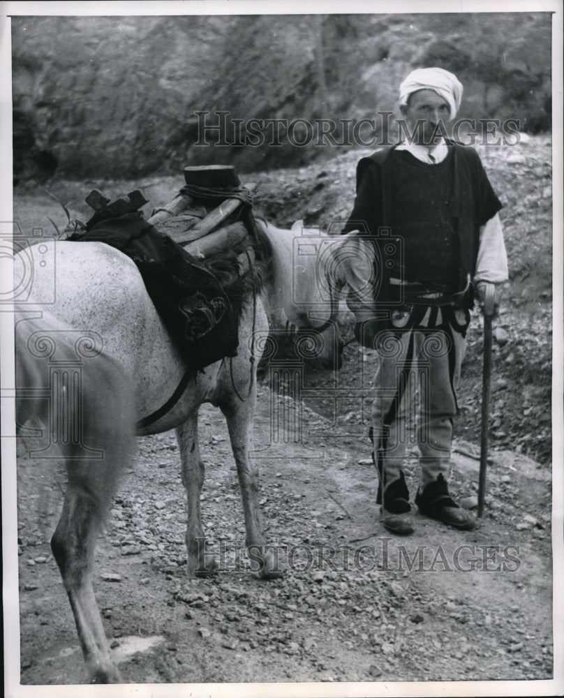 1954 Press Photo Mountaineer &amp; his pack horse in Montenegro - Historic Images