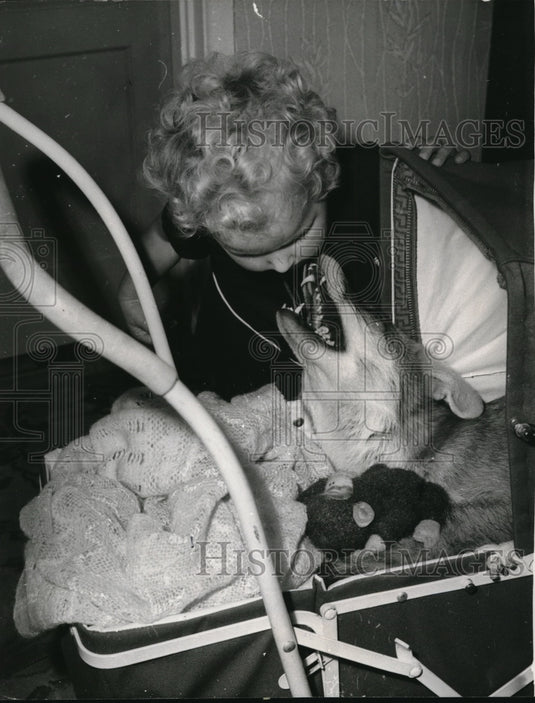 1966 Press Photo Vanessa & her pet Rusty the fox - Historic Images