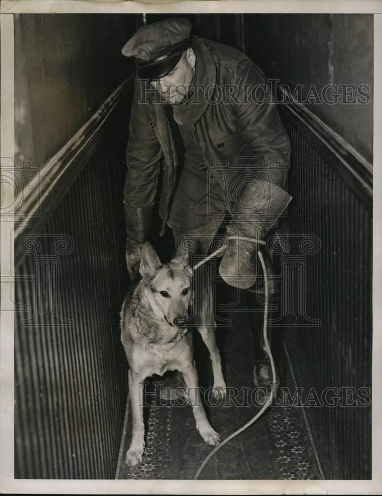 1939 Press Photo Tom Barshaw of the A.S.P.C.A. Taking out the dog - Historic Images