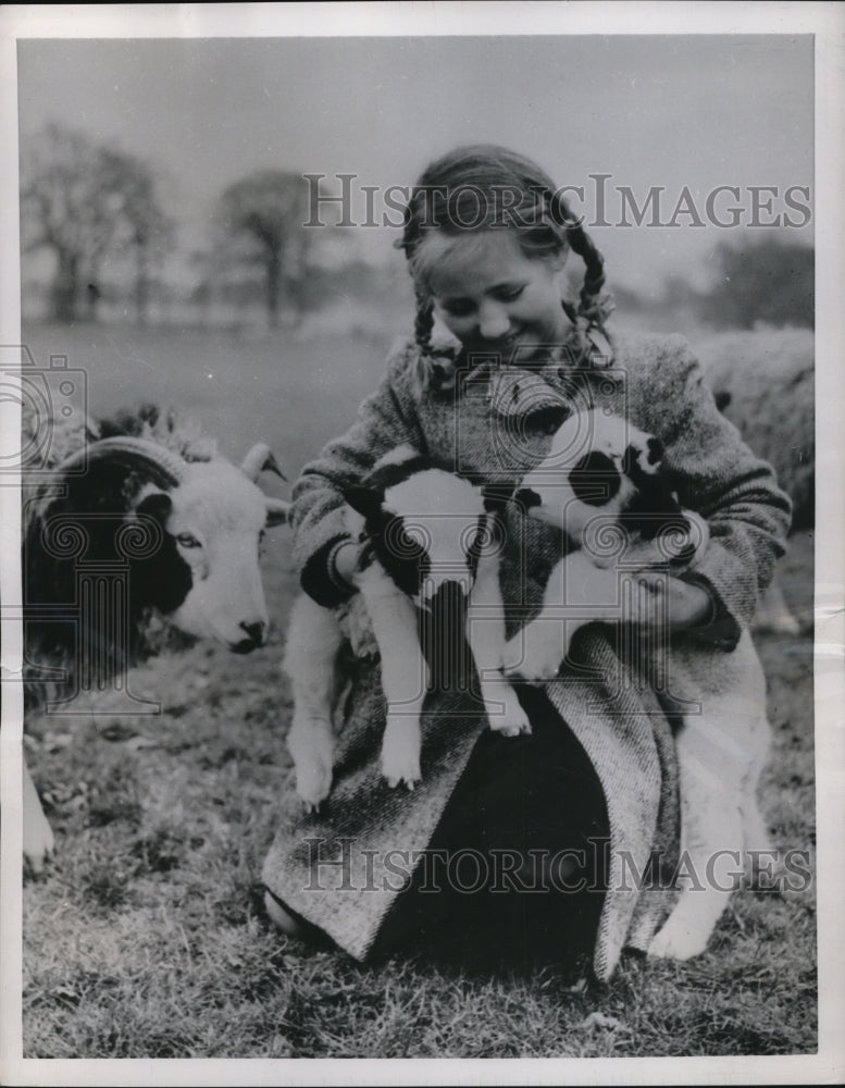 1953 Press Photo Sally Davies Spotted Lambs Whipsnade Zoo London - Historic Images