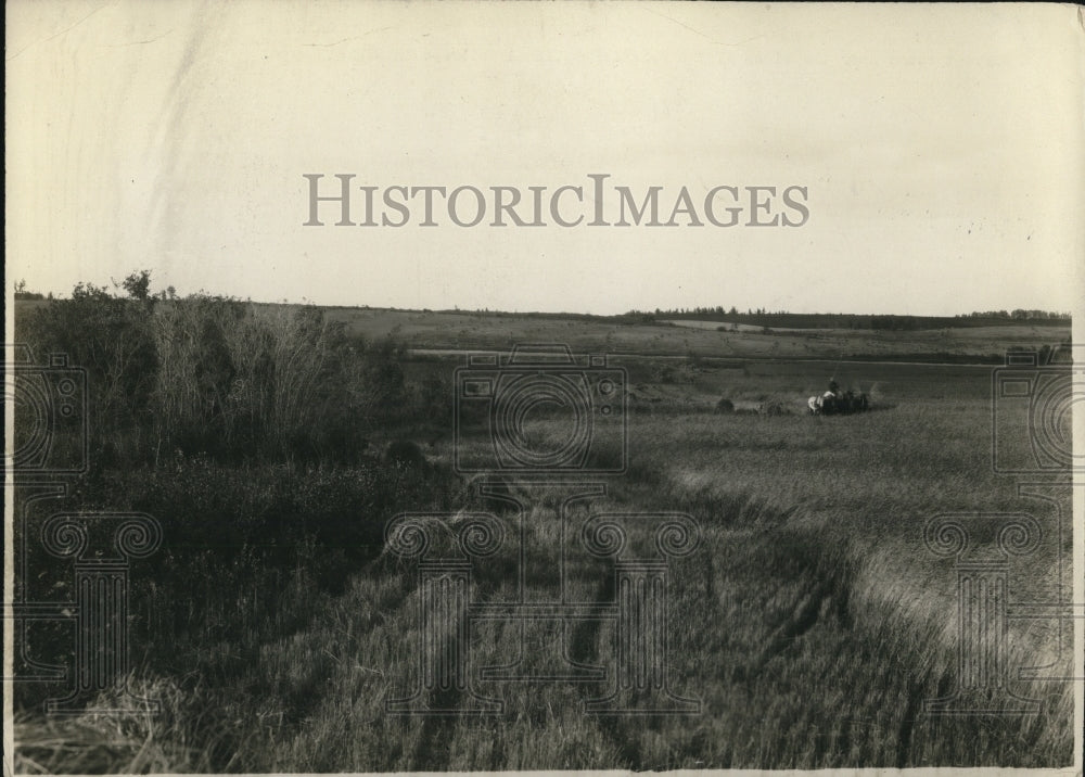 1938 Press Photo Harvesting Canadian National Railways Saskathewan - Historic Images