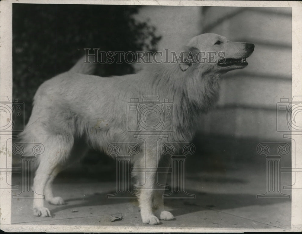 1925 Press Photo Island White Oskhosk from arrives for White House - Historic Images