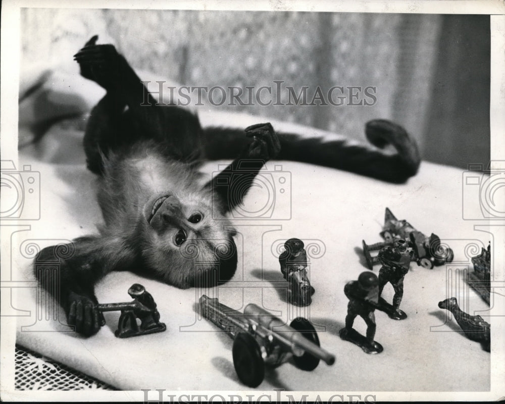 1941 Press Photo The Great Jocko and another Waterloo - Historic Images