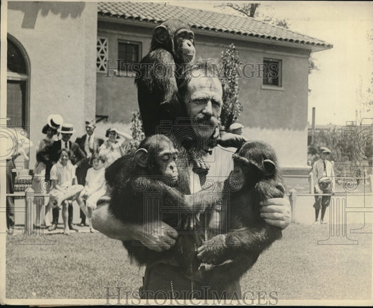 1925 Press Photo Chimpanzees Mike, Henry and Duffy with their keeper, Max - Historic Images