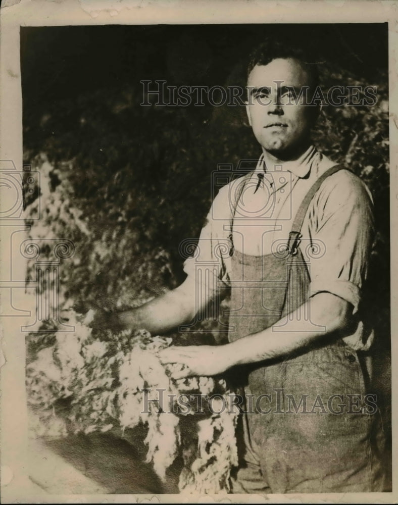 1919 Press Photo Cornelius Weed, son of William M. Weed - Historic Images