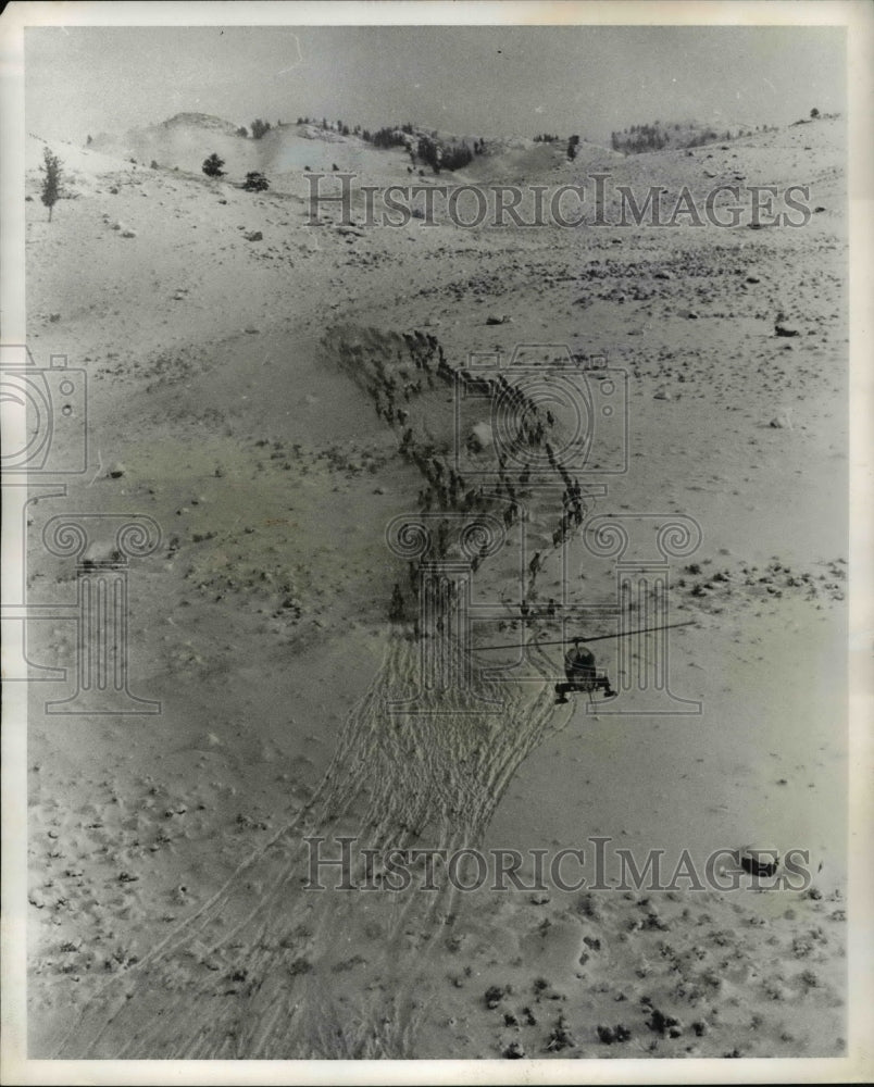 1963 Helicopter Herds Wild Elk In Yellowstone National Park-Historic Images