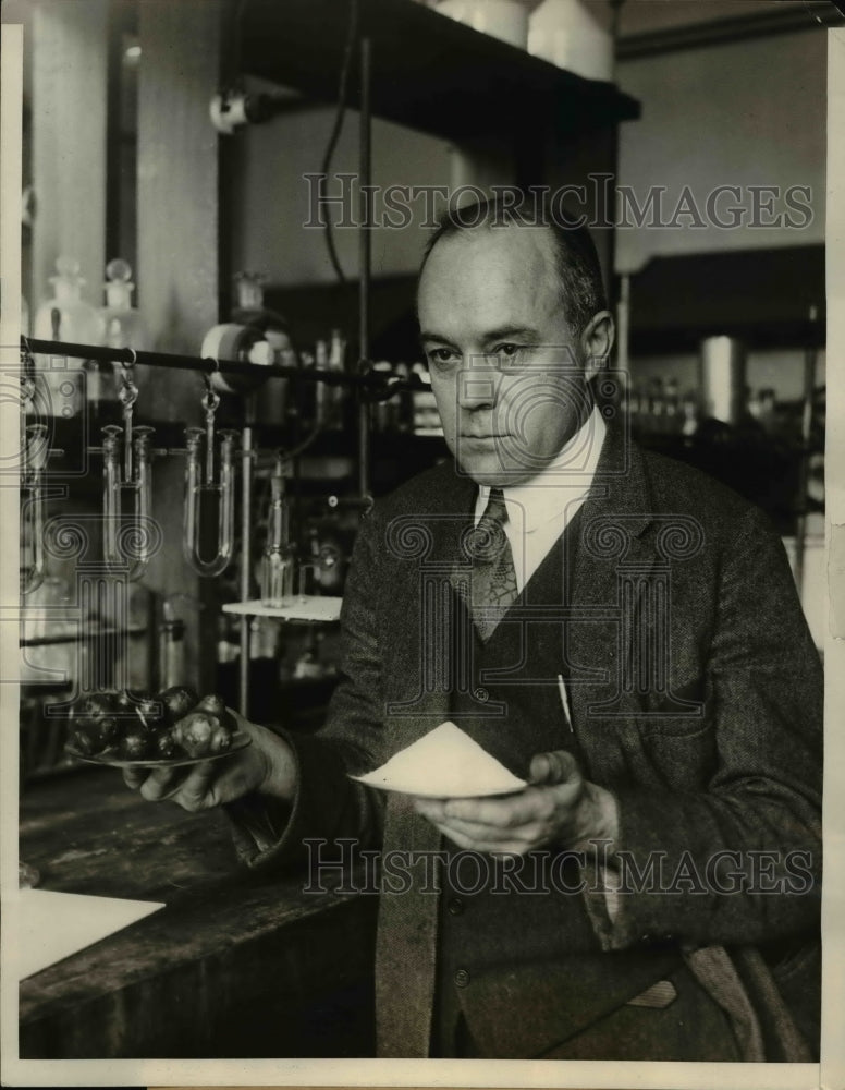 1926 Press Photo Dr. H.F. Jackson, U.S. Bureau of Standards Examines Artichokes - Historic Images