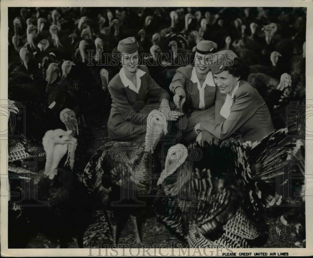 1947 Press Photo Stewardesses of United Air Lines' choosing turkeys - Historic Images