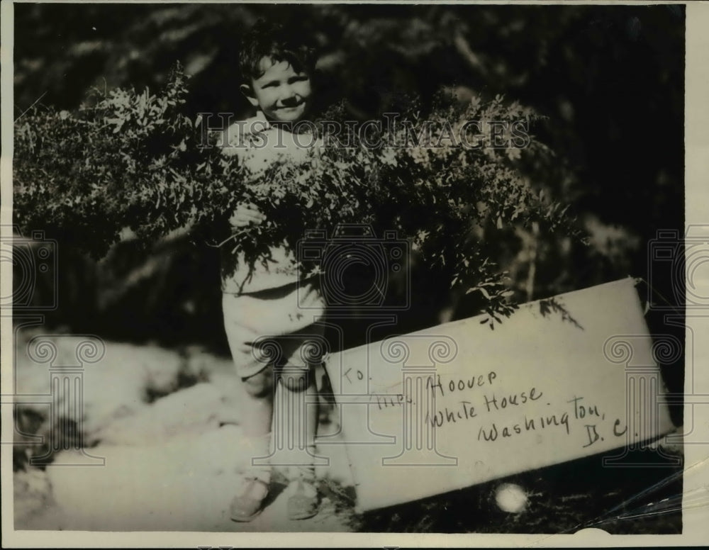 1929 Press Photo Monterey Calif, Peter Staffens to mail flowers to Mrs Herbert - Historic Images