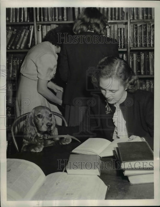 1946 Press Photo Cokey, a cocker spaniel, enjoys time in Topeka public library - Historic Images