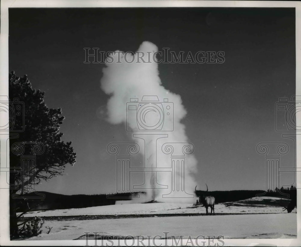 1968 Press Photo Yellowstone National Park - Historic Images