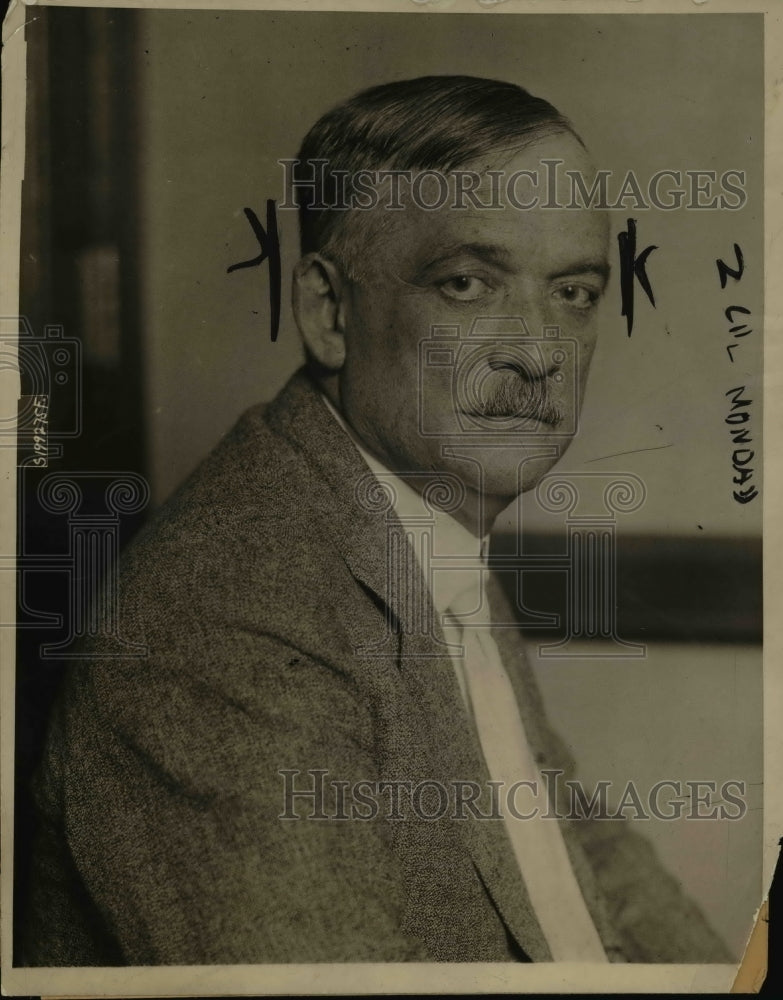 1919 Press Photo Glenn E. Plumb, lawyer who proposed the railway "Plumb plan". - Historic Images