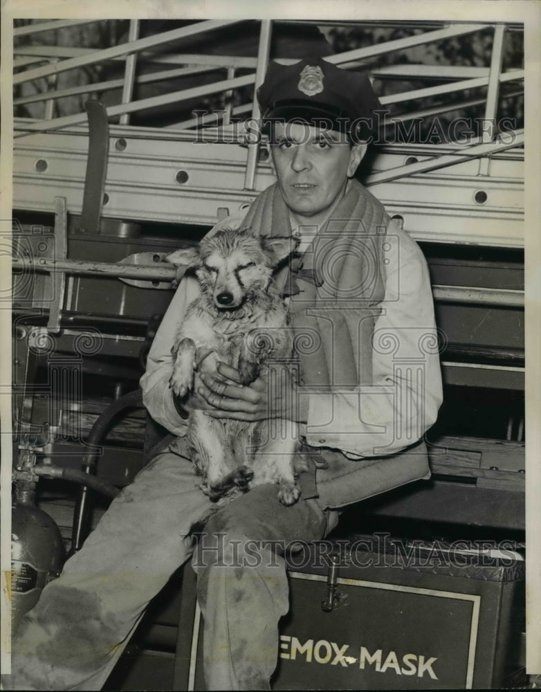 1949 Press Photo St Louis Missouri Lee Potier humane society officer - Historic Images