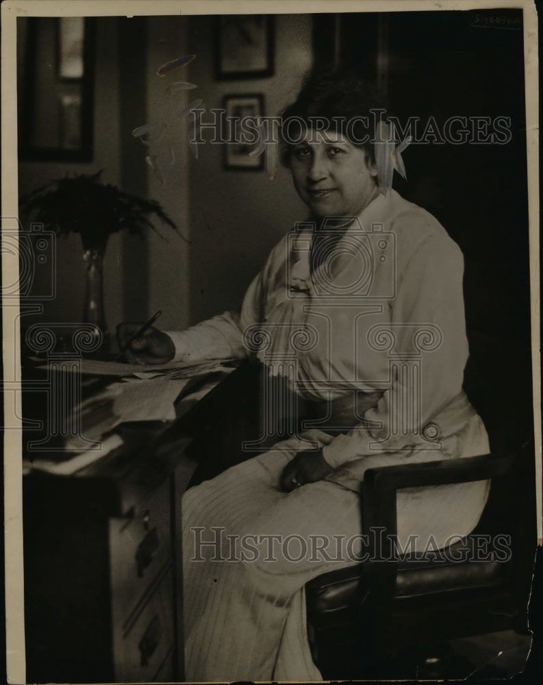 1919 Press Photo Mrs Etthel Parks Democratic Natl Committee finance dept - Historic Images