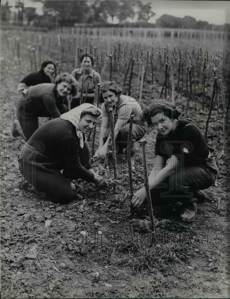 1939 David Eder training farm near Kent England-Historic Images