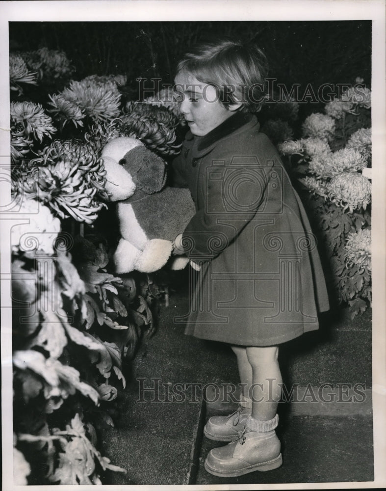 1951 tot Carol Facchetti and stuffed dog at Chrysanthemum Exhibit-Historic Images