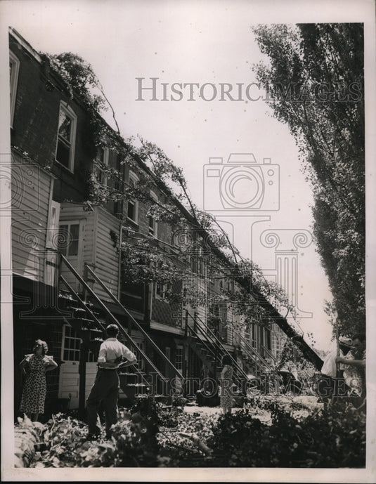 1938 Press Photo Trees blown into rear of a house at Overbrook in Philadelphia - Historic Images