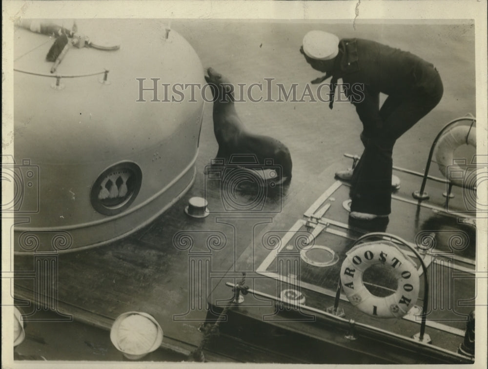 1926 Press Photo Seal for San Diego Zoo to captain&#39;s deck of Aroostook - Historic Images