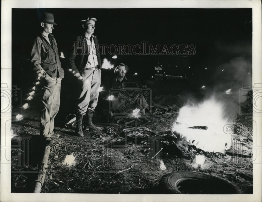 1940 Press Photo Miami Fla farmers light smudge pots in citrus groves - Historic Images