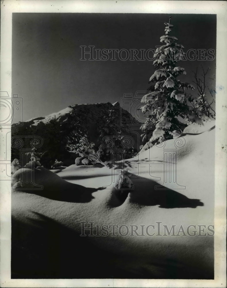 1941 Press Photo A view of a Winter Sun - Historic Images