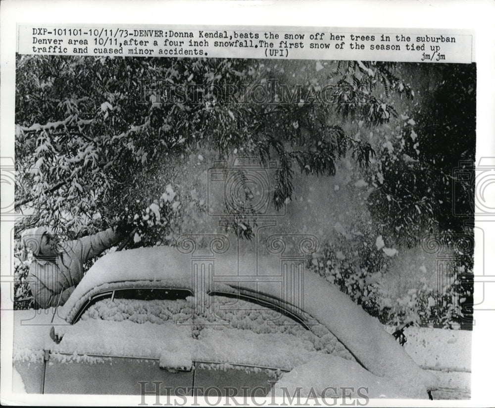 1973 Press Photo Donna Kendal beats snow off trees in suburban Denver - Historic Images