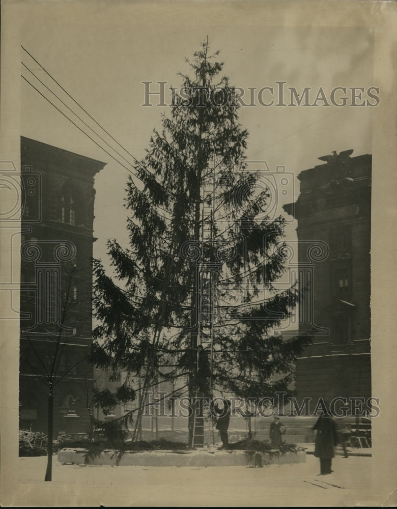 1926 Press Photo Christmas Tree on Square - Historic Images