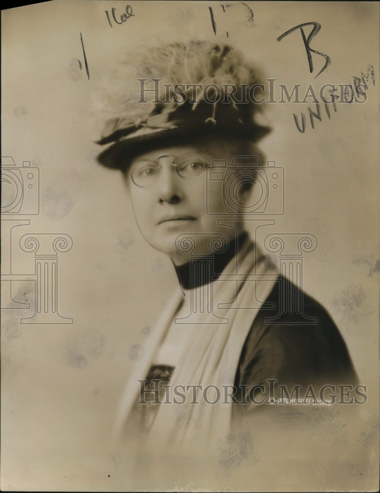1920 Press Photo Mrs. B.J. Langworthy (Hoover) - Historic Images