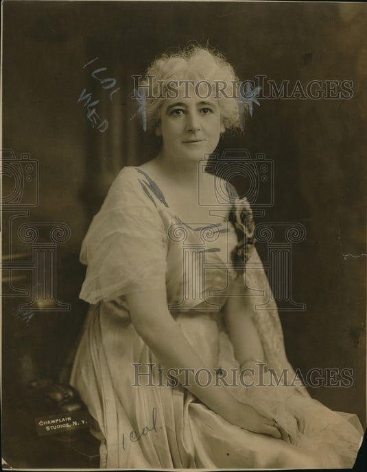 1920 Press Photo Mrs McAllister Smith chair Women's American Defense Comm - Historic Images