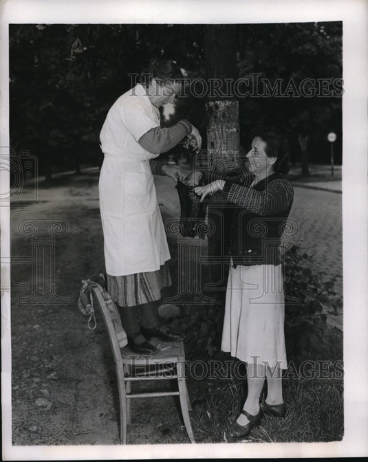 1948 Press Photo Frau Ilse Olbershafen and Frau Martha Schielke - Historic Images
