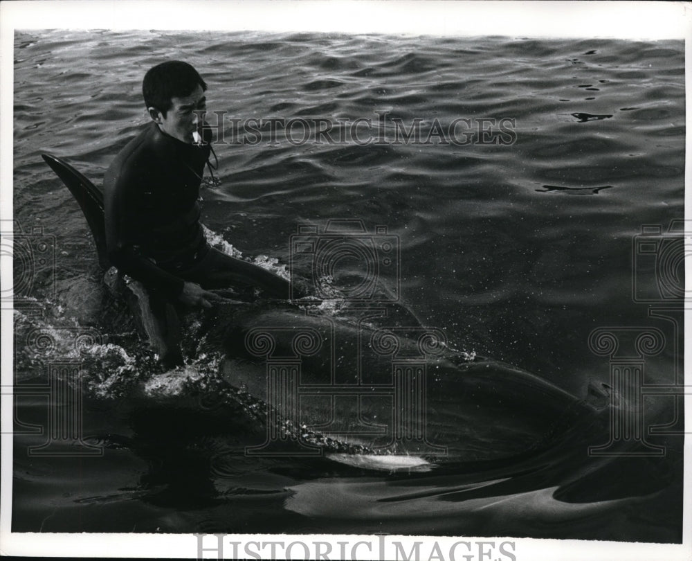 1970 Press Photo Trainer Hireshi Hasegawa with the whale - Historic Images