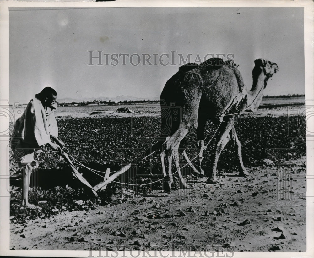 1950 Press Photo The revolution in in farming method - Historic Images