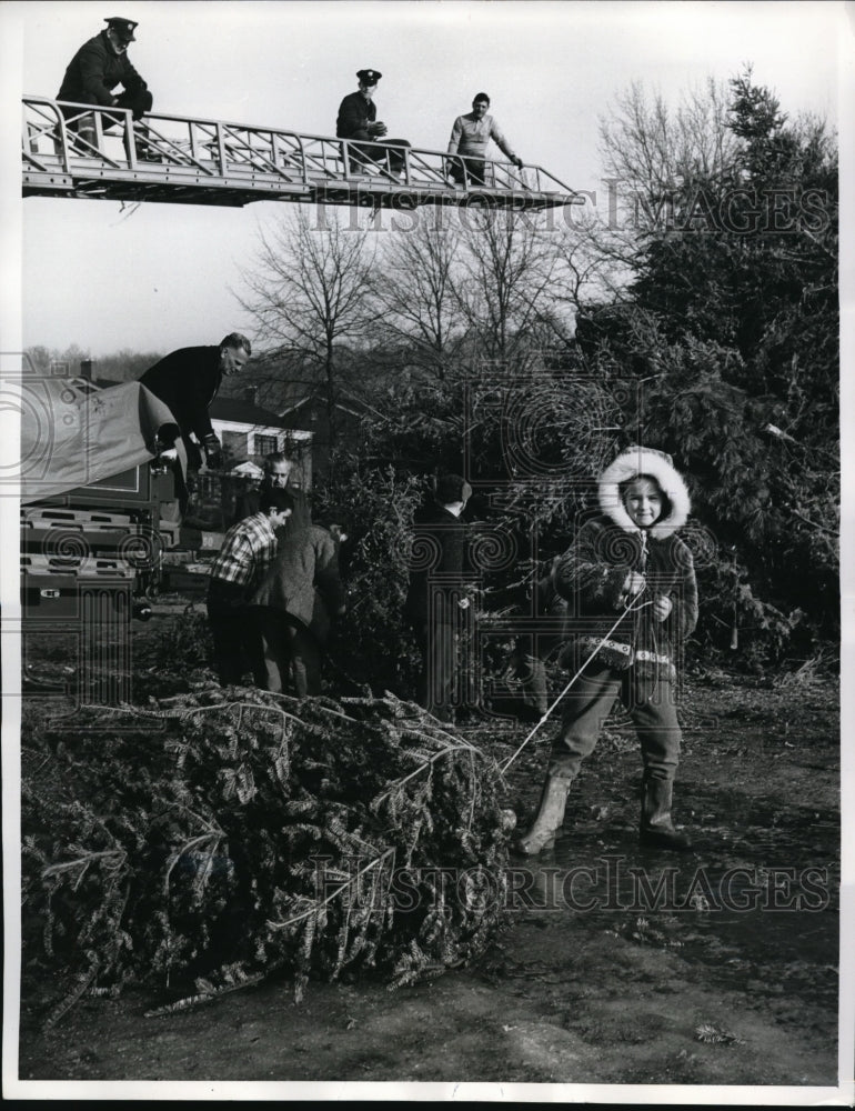 1961 Press Photo Collecting Tress for Annual Christmas Tree Bonfire at N.J. - Historic Images