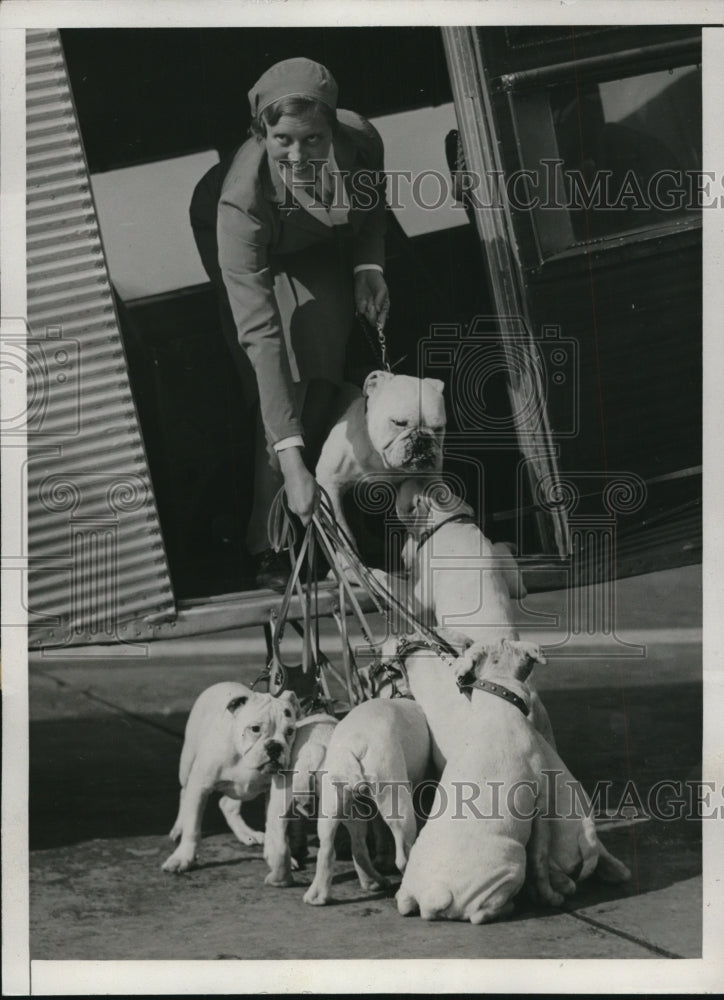 1933 Champion dog Gen Grant &amp; puppies sent to Pres elect Roosevelt-Historic Images