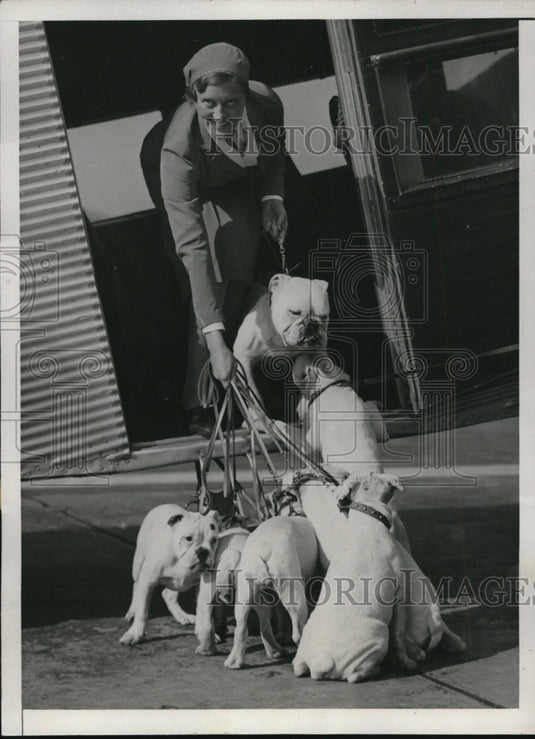 1933 Champion dog Gen Grant & puppies sent to Pres elect Roosevelt-Historic Images