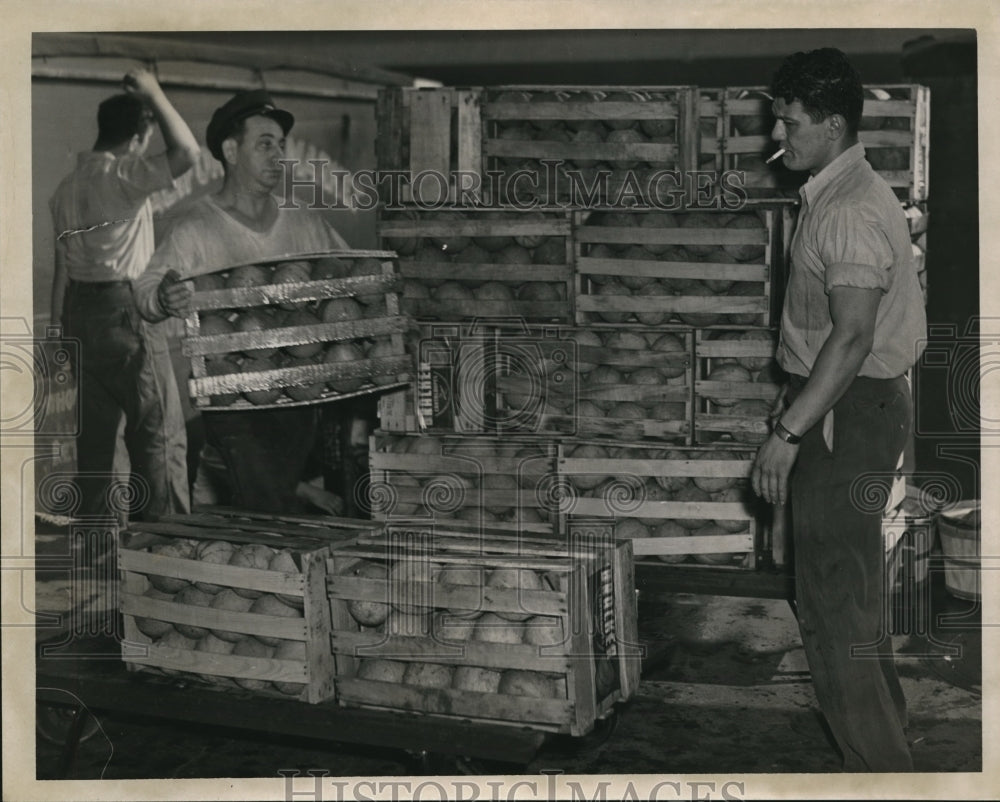 1946 Press Photo Bill CiÃƒÆ’Ã‚±iÃƒÆ’Ã‚±o (L) &amp; Don Madda at Northern Ohio Food Terminal-Historic Images