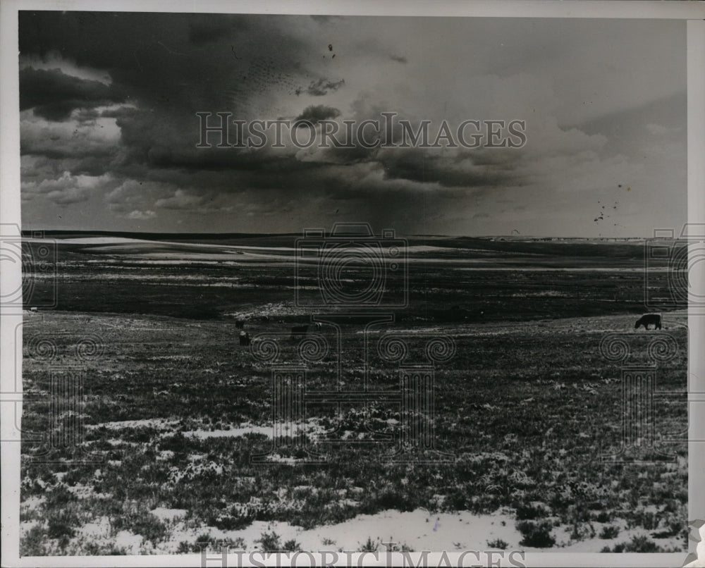 1938 Press Photo Plains if E Colorado counties as grasshoppers hatch - nex79551- Historic Images