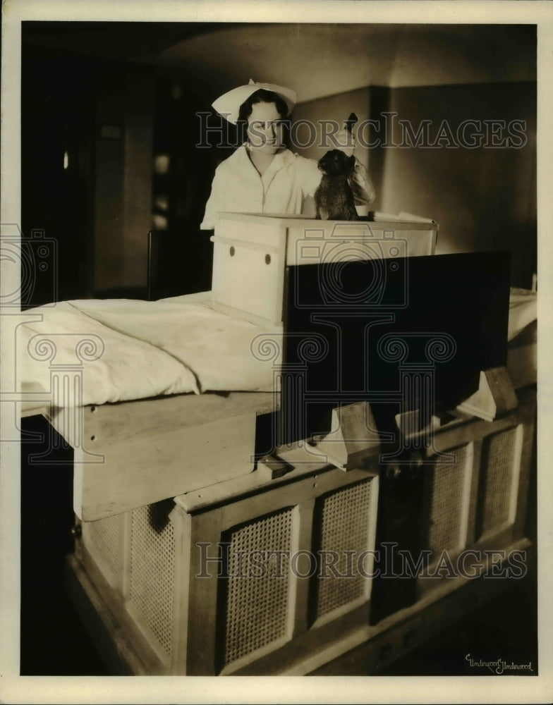 1931 Press Photo Nurse using High frequency radio on a dog - Historic Images