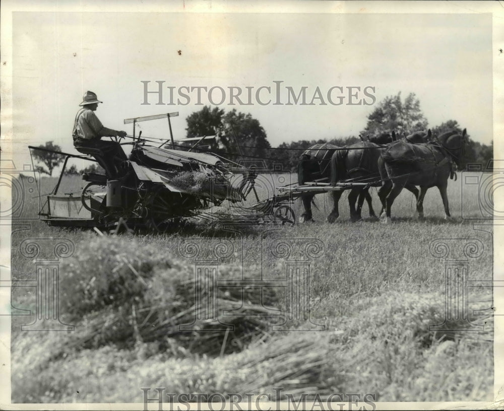 1936 Press Photo Harvesting Wheat Horse Drawn-Historic Images