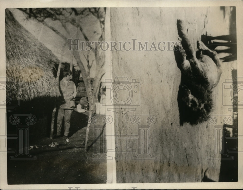 1926 Press Photo Miss Dorothy Harrison - nex96582-Historic Images