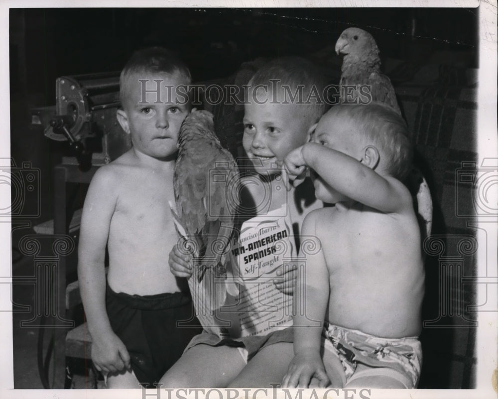 1950 Ruser Boys of Burlington Have Pair of Pet Parrots  - Historic Images