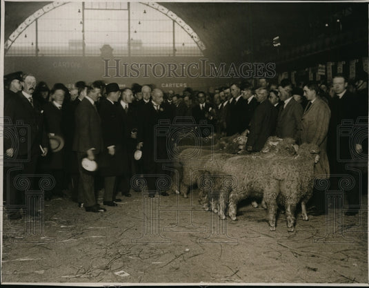 1929 Press Photo Prince of Wales at Smithfield Club Cattle Show London - Historic Images