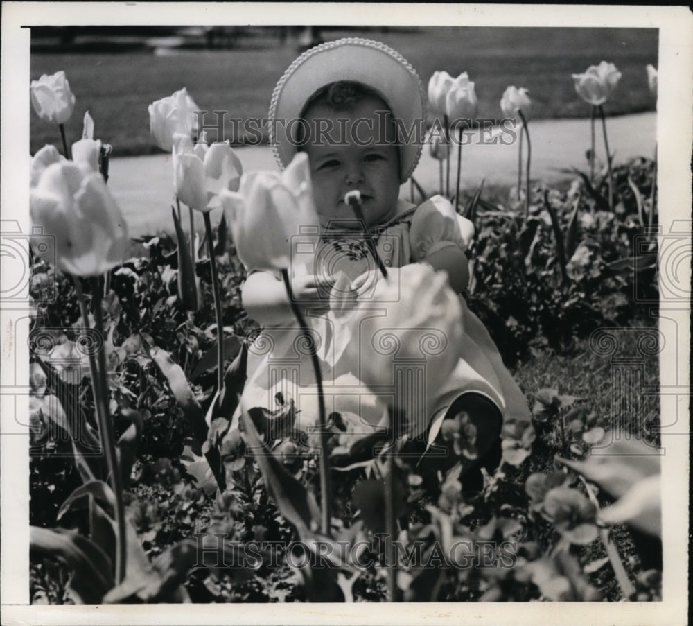 1942 Little Norma Hawkins of Fort Erie, Ontario in bed of tulips - Historic Images