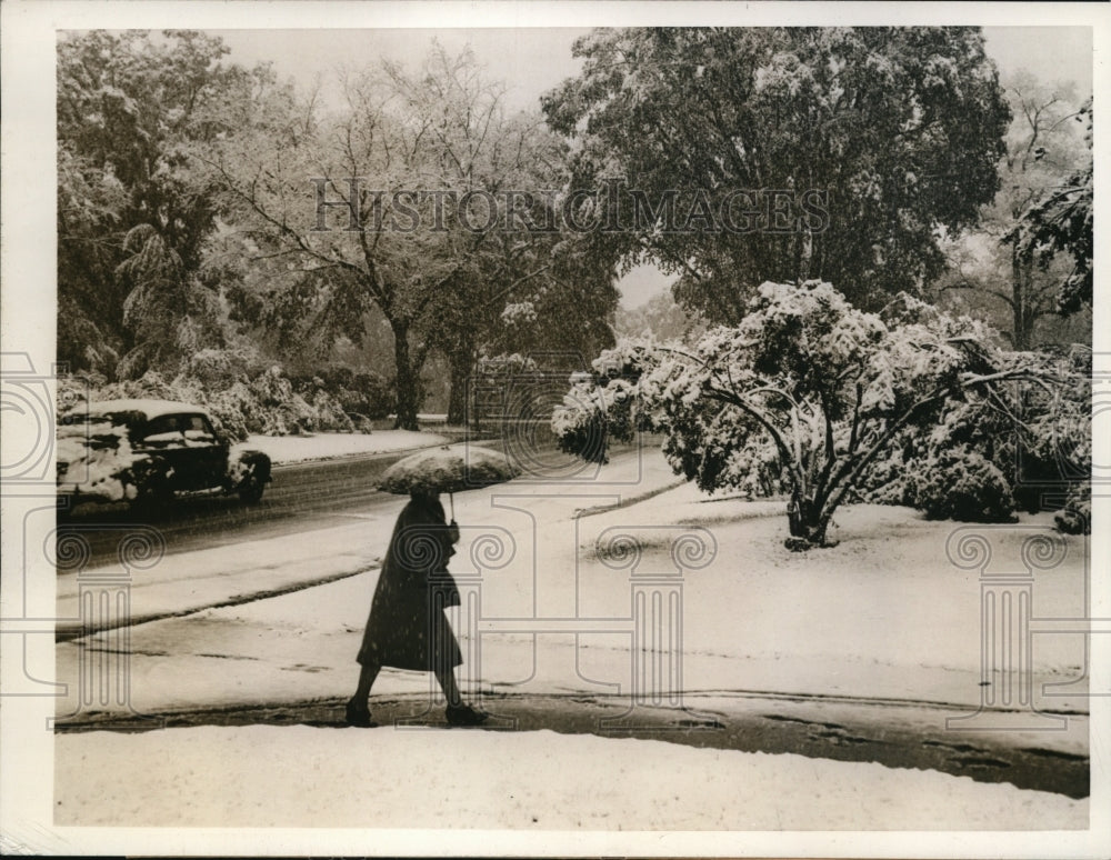 1945 Heaviest Snowstorm in May in Albany New York - Historic Images