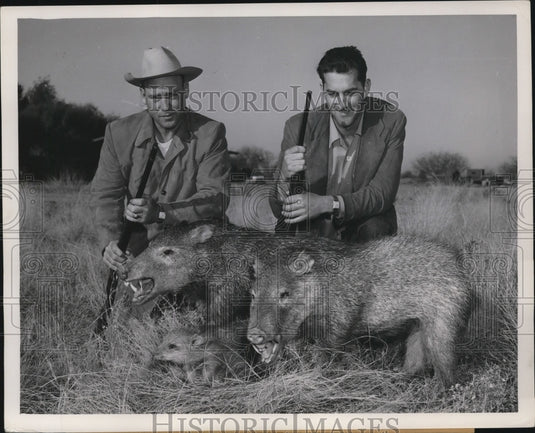 1954 Press Photo Wes Westrum & Larry Jansen on Hunting Trip Killed 2 Wild Pigs - Historic Images